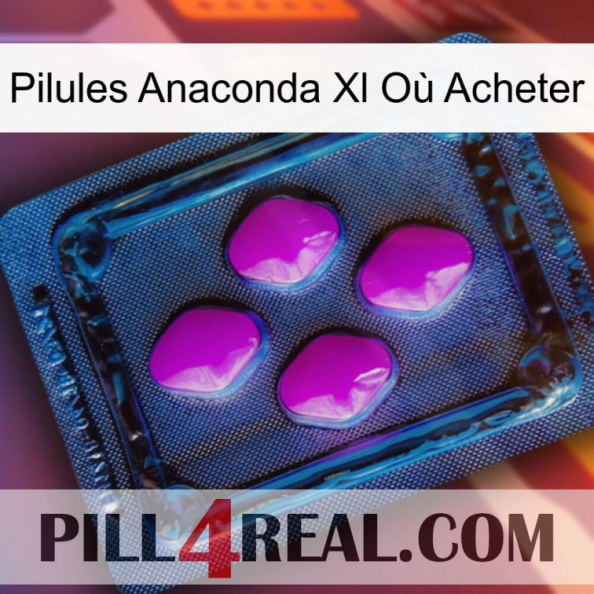 Pilules Anaconda Xl Où Acheter 04